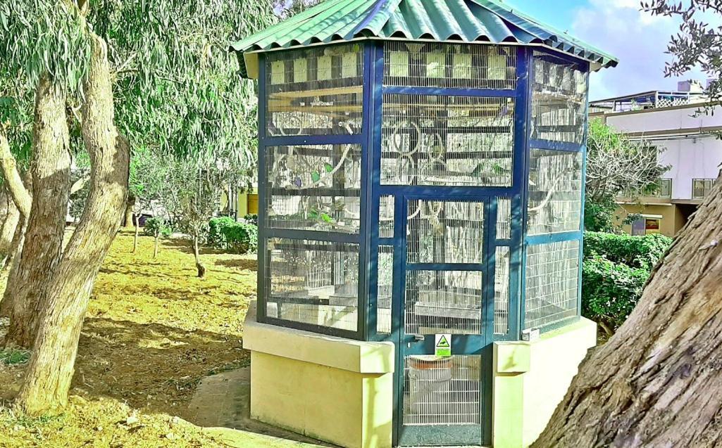 Caro Boutique Guest House San Ġwann Εξωτερικό φωτογραφία